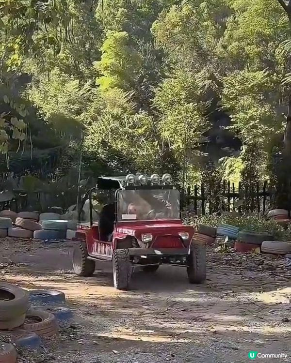 深圳動物園