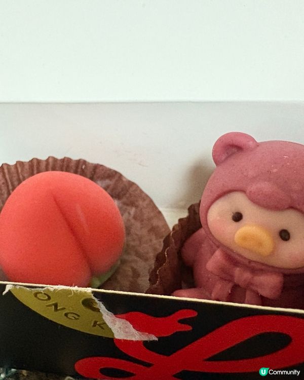 收到第一份生日禮物- 龍島朱古力
