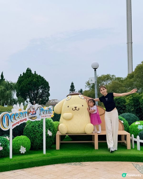 夏日玩轉海洋公園！🌊🐧💖