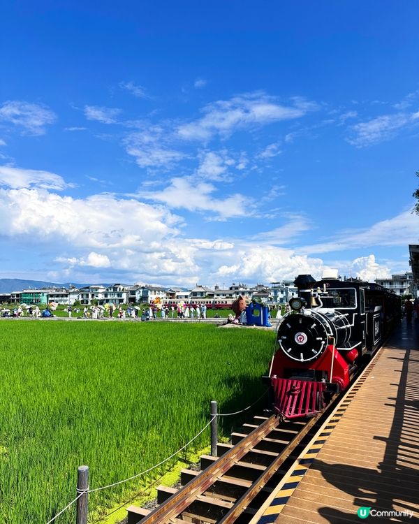 去有風的地方 喜州麥田小火車