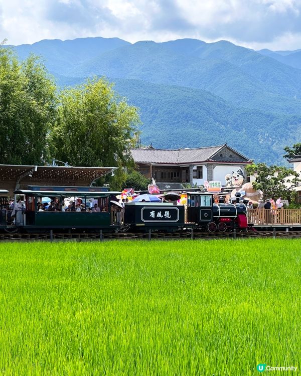 去有風的地方 喜州麥田小火車