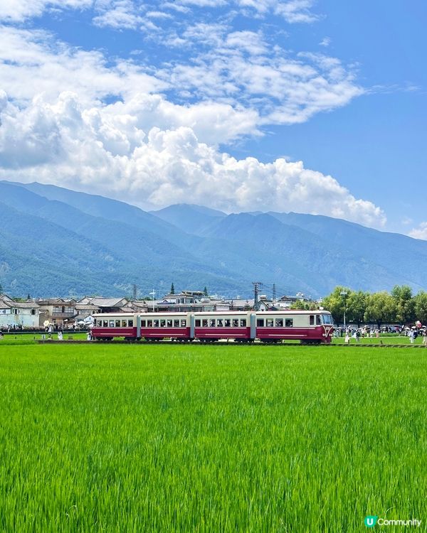 去有風的地方 喜州麥田小火車