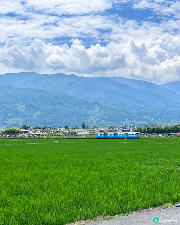 去有風的地方 喜州麥田小火車
