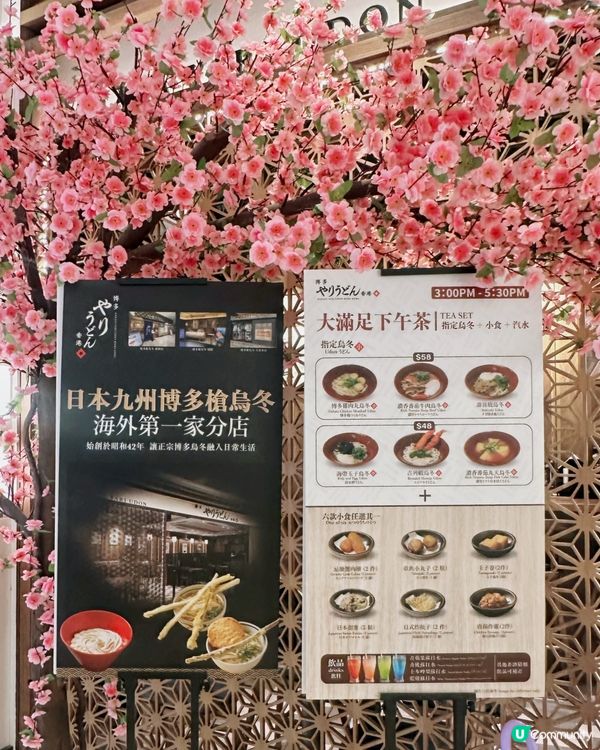 日本🇯🇵福岡過江龍烏冬登陸尖沙咀喇！