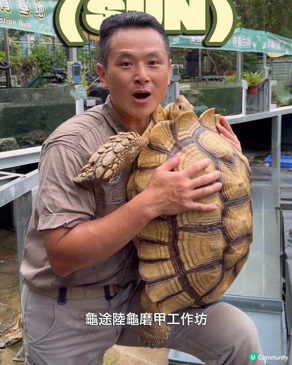 9 月份龜途之陸龜磨甲工作坊