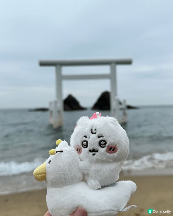 帶住chii仔去旅行 一齊去睇粉蝶花同紫藤花 又帶佢去下系島...