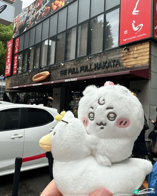 帶住chii仔去旅行 一齊去睇粉蝶花同紫藤花 又帶佢去下系島...