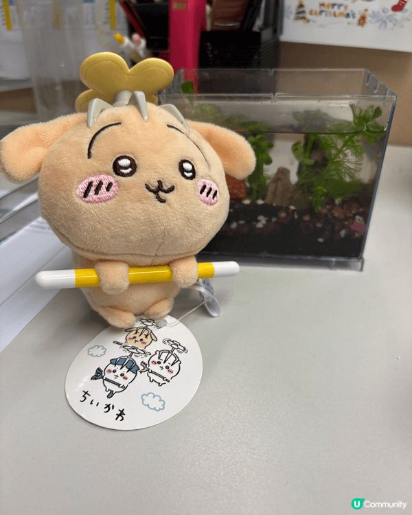 我最鍾意嘅 Chiikawa 角色絕對係 小八！ 佢雖然有時...