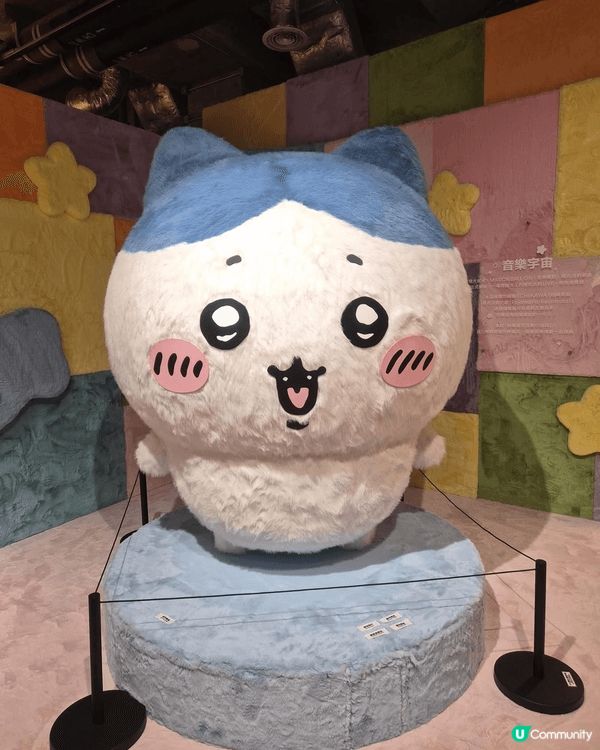 去咗K11 睇Chiikawa ，現場真係好多打卡位，所有公...