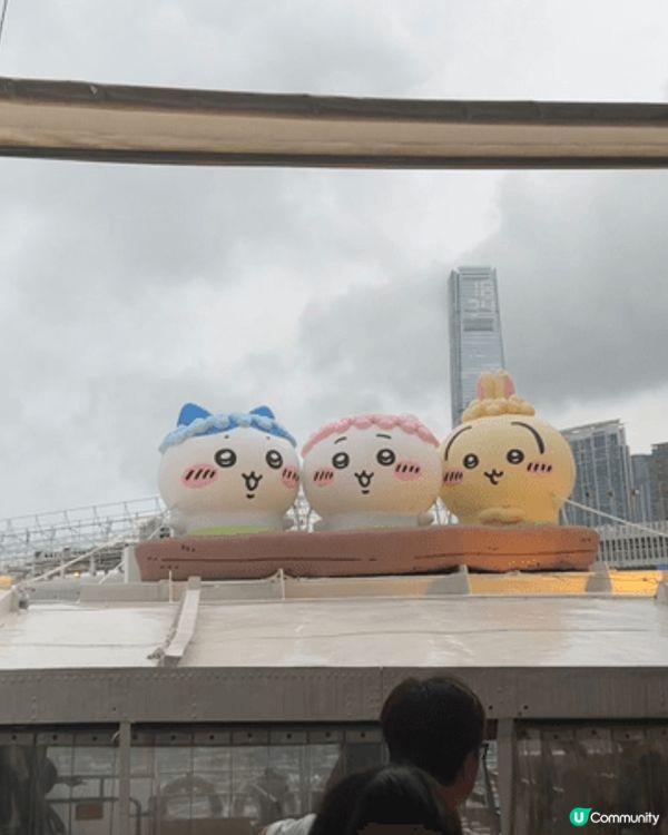最中意嘅角色係吉伊同usagi，lam hang plaza...