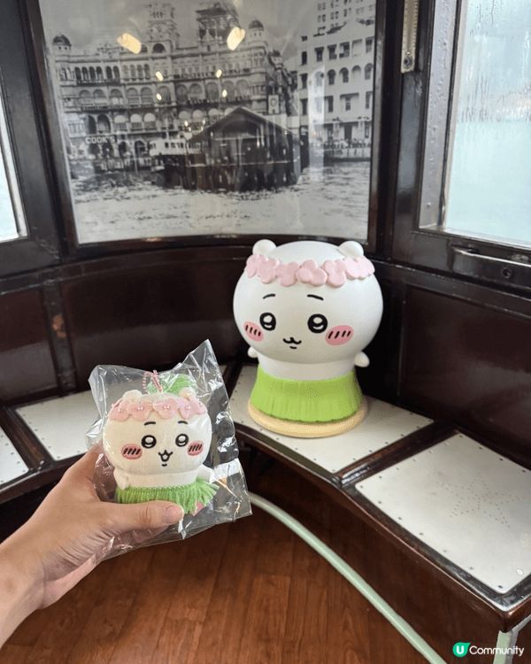 最中意嘅角色係吉伊同usagi，lam hang plaza...