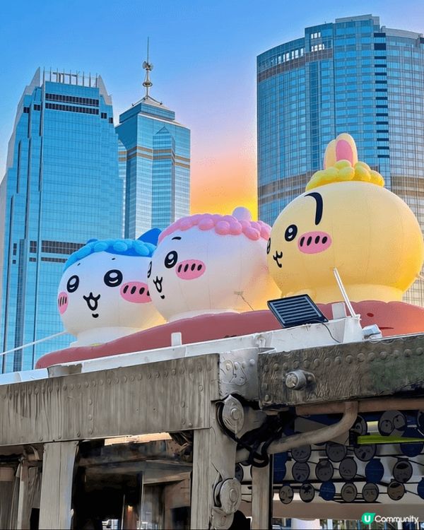 身邊朋友鐘意Chiikawa而入坑。我最鍾意小八，佢外表調皮...