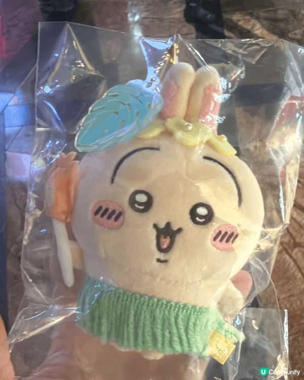 入坑因為我細妹逼我同佢一齊睇chiikawa 😂