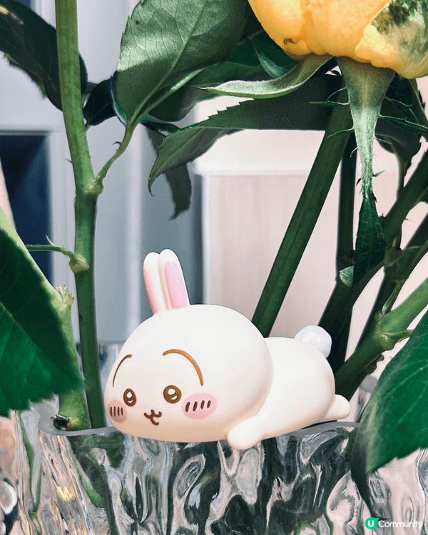 點解可以咁可愛㗎？你哋？