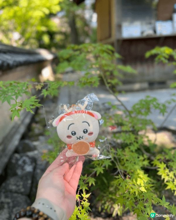 我最愛的角色是兔哥，因為第一個原因是我自己屋企有養兔仔，養了...