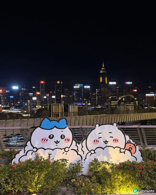 由一開始對內容不理解，覺得偏幼稚，到認真去睇咗漫畫/動畫，了...