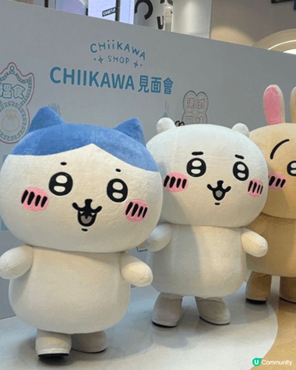 以前在日本旅行開始認識Chiikawa 小八性格好好又好幫其...