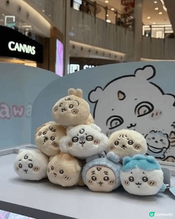 我最喜歡 chii 仔 他的角色的設定到我10分之相似。令我...