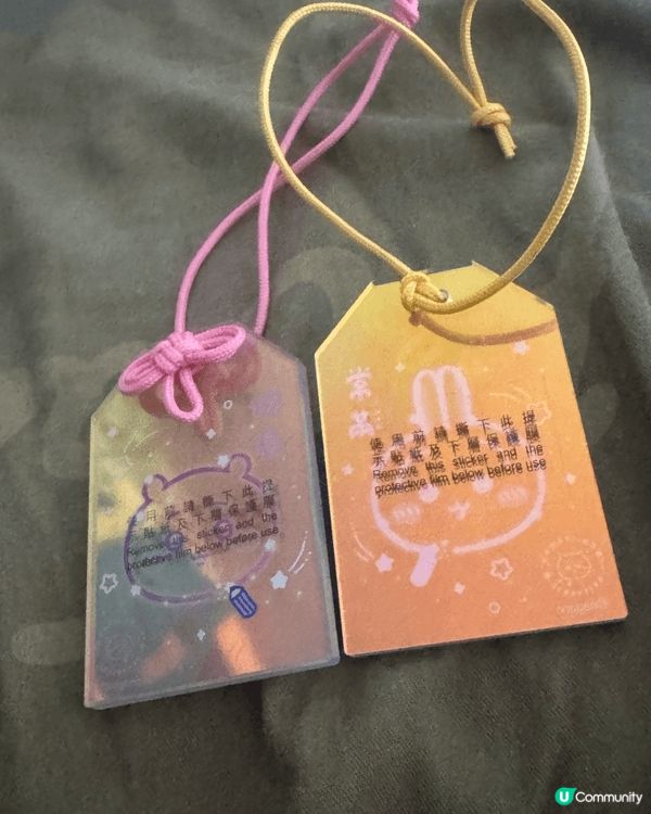 剛入坑 鐘意 兔兔 同 飛鼠 可愛做型 得意表情