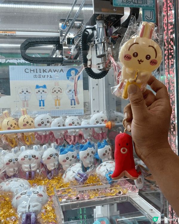 Usagi係好活潑好動嘅兔兔，有佢係度一定絕無冷場。