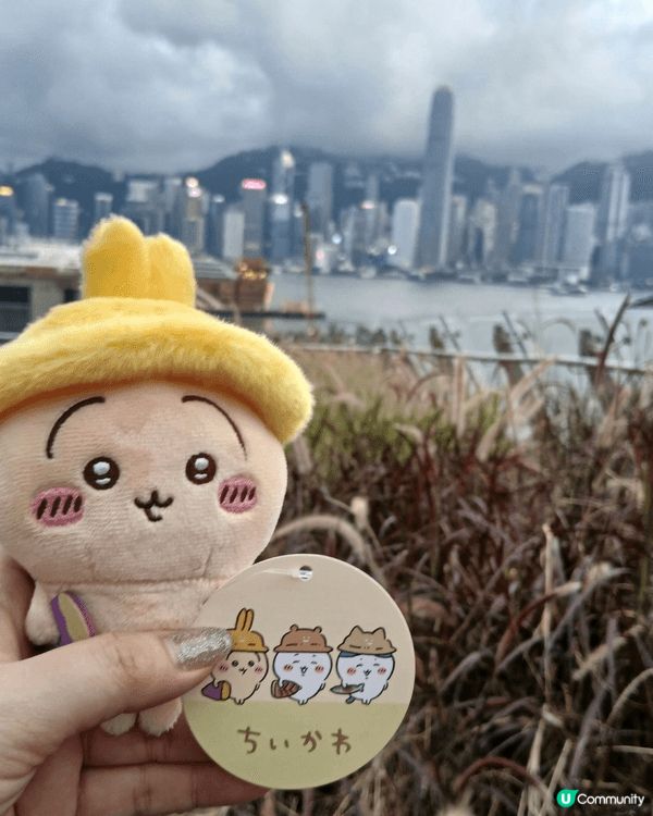 Usagi係好活潑好動嘅兔兔，有佢係度一定絕無冷場。