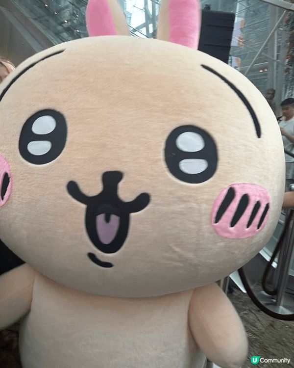 Chiikawa Usagi 真係好得意😊 搞鬼性格真係好令...