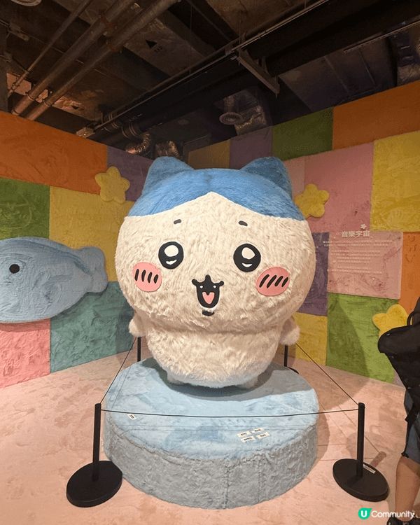 我去咗 chiikawa 展覽之後，第一個感覺係「好可愛，但...