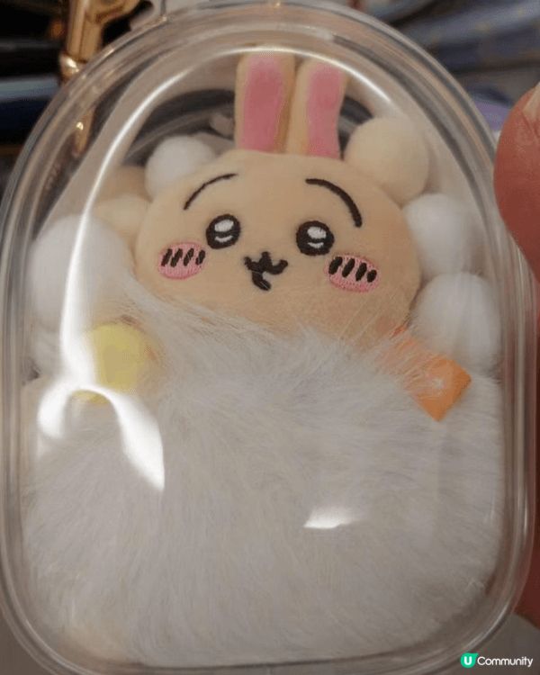 好可愛呀