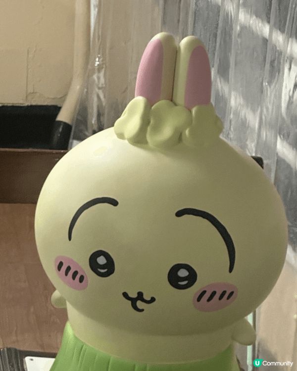 我本人真係好喜歡Usagi,因為兔兔係好喜歡幫助身邊的同伴，...