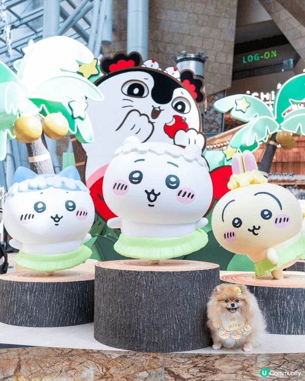 一睇就上癮，Chiikawa好可愛，角色每個都好有突點。每次...
