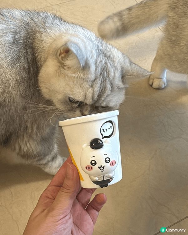 第一次接觸Chiikawa是在日本旅行，當時發現為何唯獨是C...