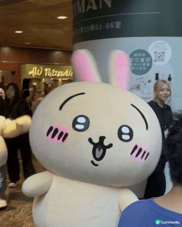 快閃朗豪坊pop up store！可以見到Usagi 小八...