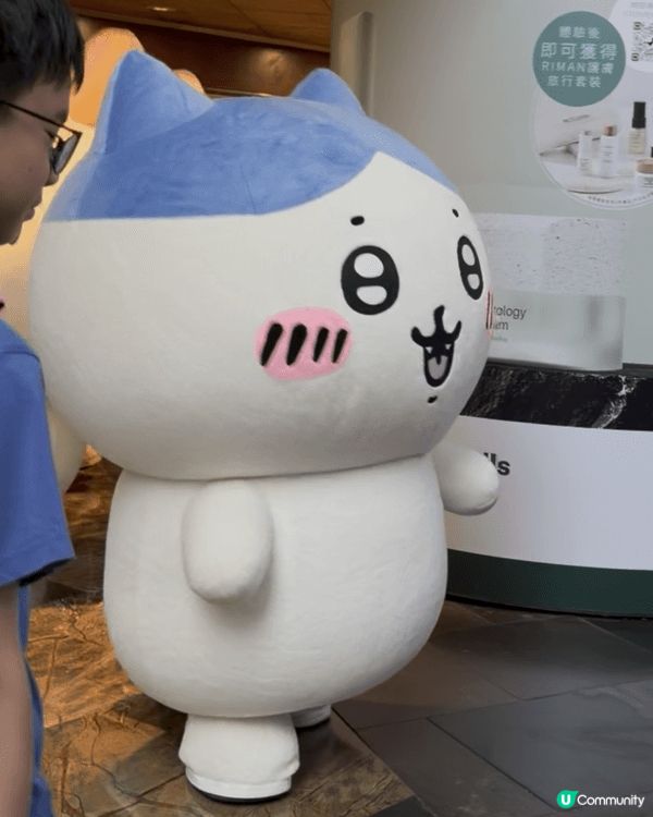 快閃朗豪坊pop up store！可以見到Usagi 小八...
