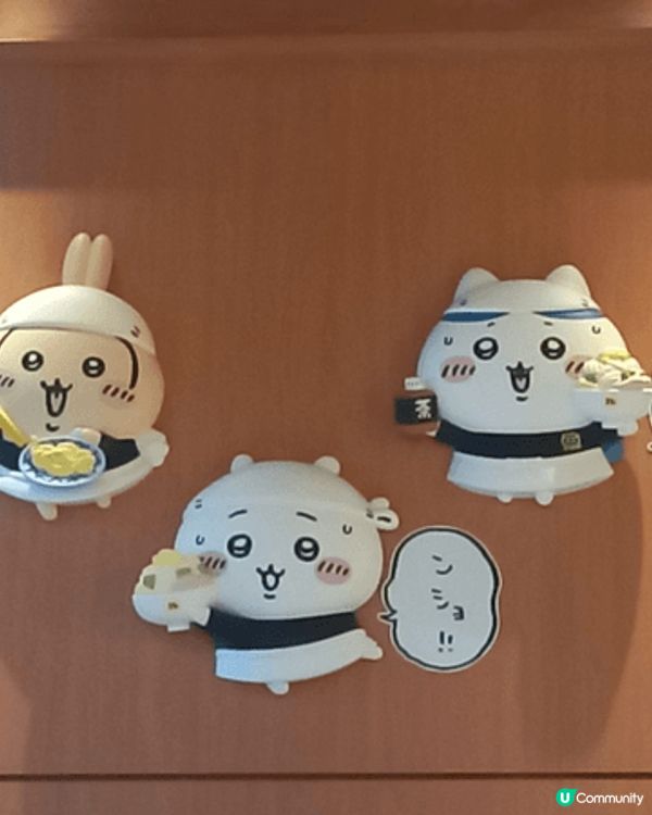 我最鐘意usagi。最初見到usagi嘅時候，見到佢兩隻超可...