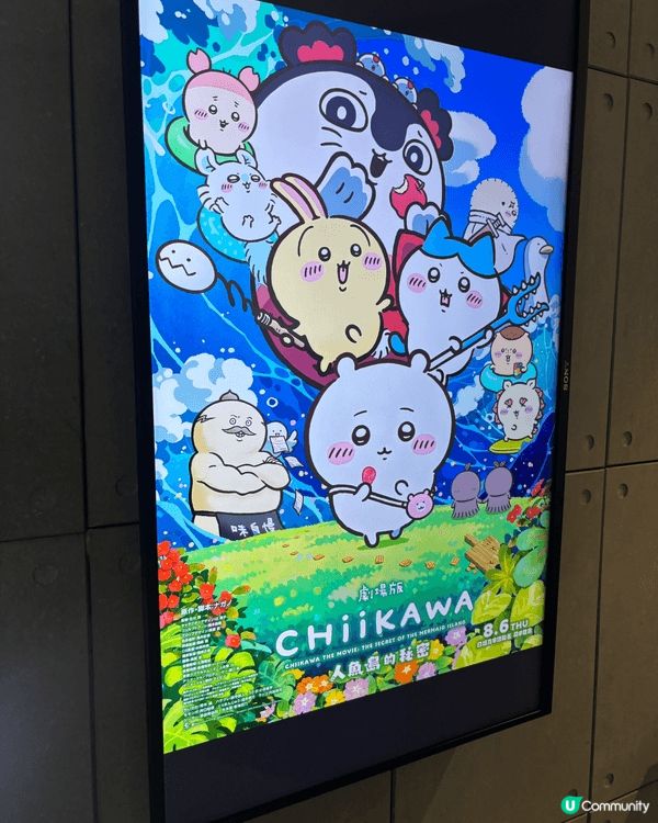 燒賣兔兔是2025的展覽是買的