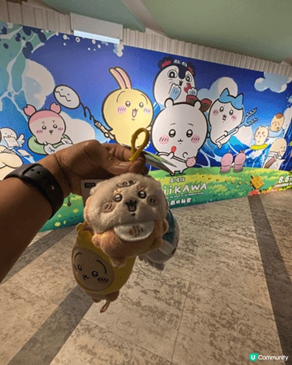 燒賣兔兔是2025的展覽是買的