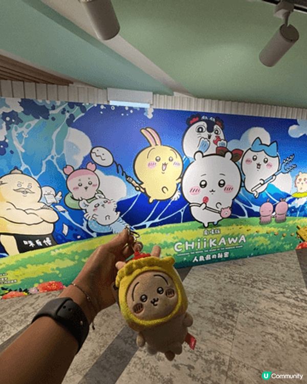 燒賣兔兔是2025的展覽是買的