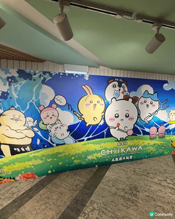燒賣兔兔是2025的展覽是買的
