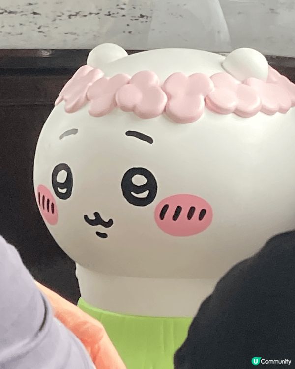 你身邊有冇一個好似小八咁嘅朋友? 
