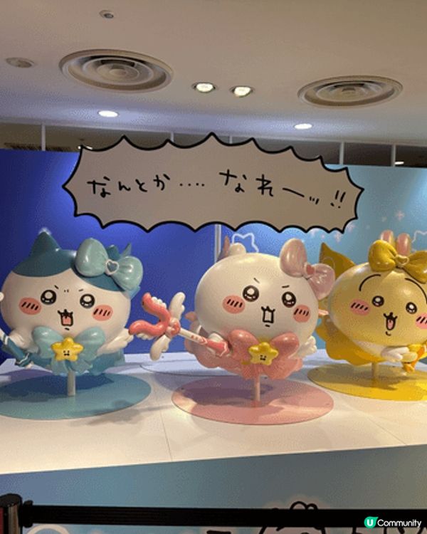 我最鍾意的是USAGI，喜歡他不受世俗的限制，想吃就吃、想睡...