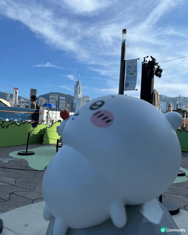 最初係比兔兔（Usagi）吸引，因為佢每次「烏拉」、「亞哈」...