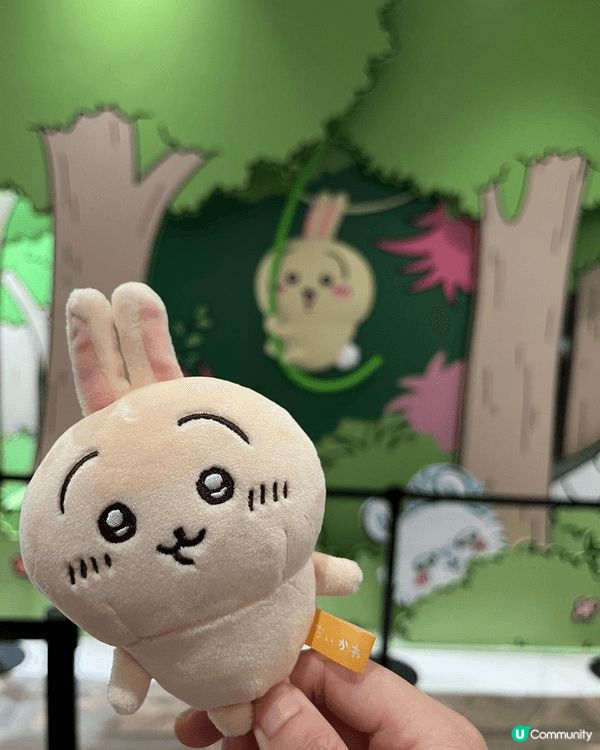 最初係比兔兔（Usagi）吸引，因為佢每次「烏拉」、「亞哈」...