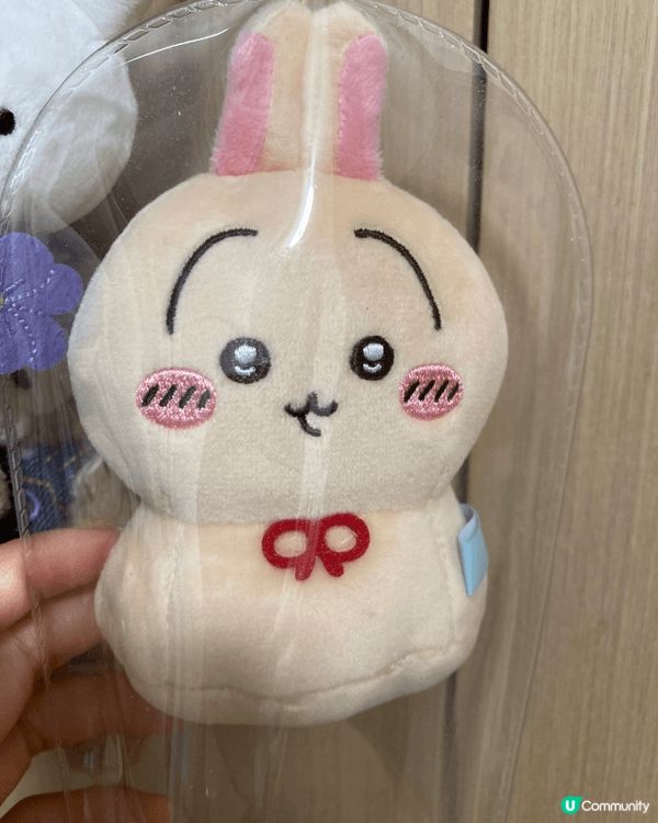 家姐鐘意，我也入坑了