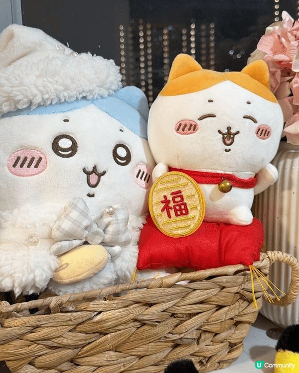 鍾意Chiikawa，因為佢哋活成咗我想做又做唔到嘅樣。