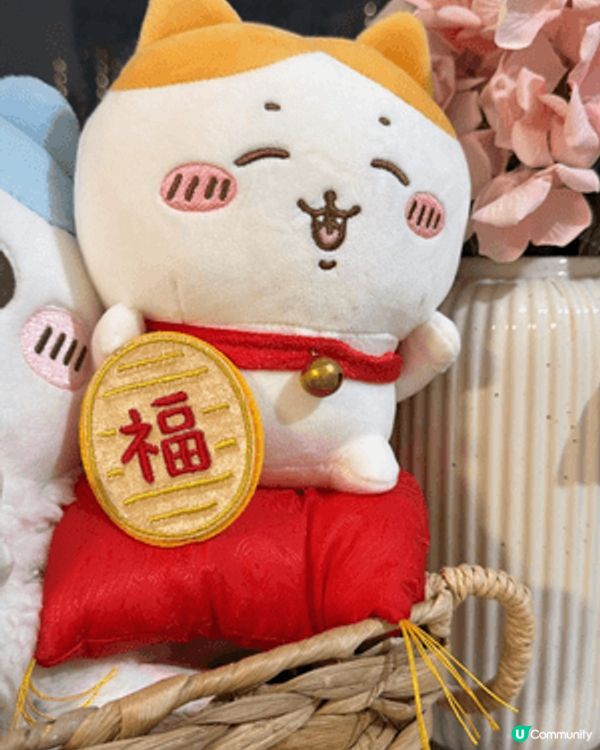 鍾意Chiikawa，因為佢哋活成咗我想做又做唔到嘅樣。