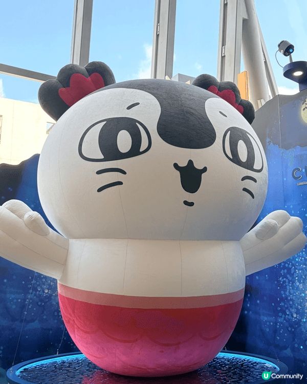 各式各樣的chiikawa~