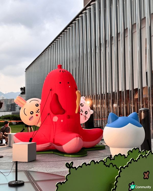 我係小八粉絲！因為小八成日照顧朋友，尤其對chiikawa ...