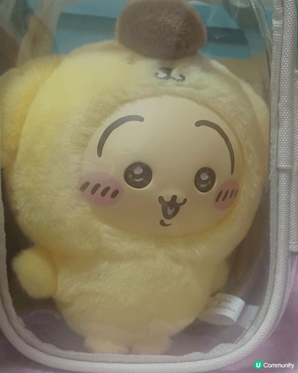 呢隻係我之前喺日本買嘅Usagi，係同Sanrio聯乘嘅公仔...