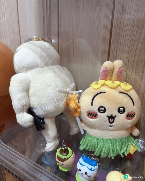 最愛兔兔