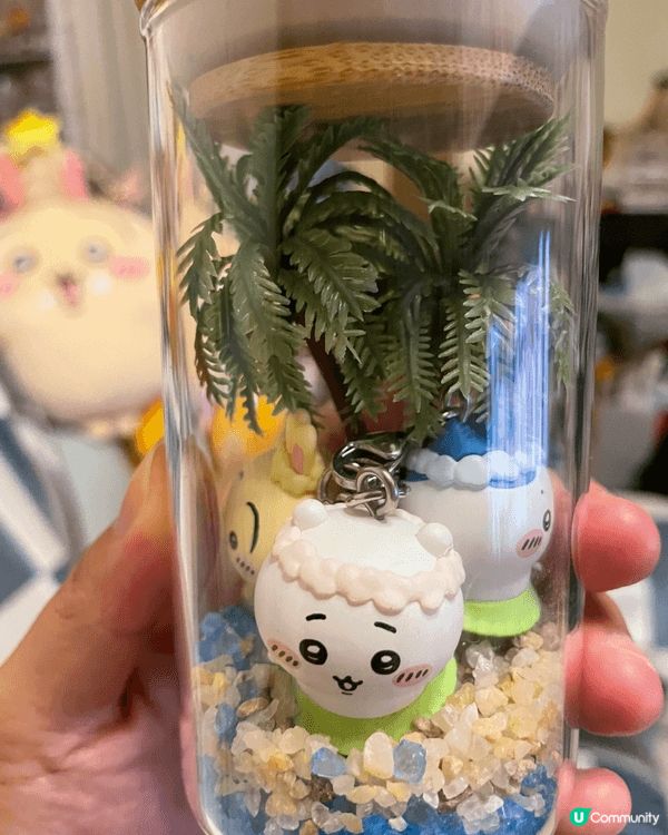 8月係CHIIKAWA月，去睇特展，超開心抽到兔兔特典，今年...